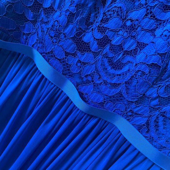 Long Bridesmaid Dress with Lace Bodice (David's) - Picture 5 of 7